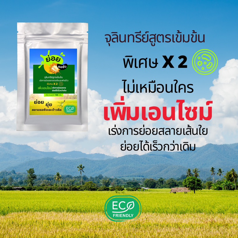 จุลินทรีย์สูตรเข้มข้นผสมเอนไซม์ ย่อยตอซัง ฟางข้าวและข้าวดีด
