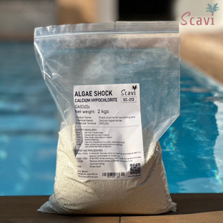 Algae Shock Chlorine 2 kg ช็อคคลอรีนสำหรับฆ่าตะไคร่น้ำ 2 กก. ช็อค คลอรีน pool shock calcium hypochlorite ฆ่าเชื้อช็อกสระ