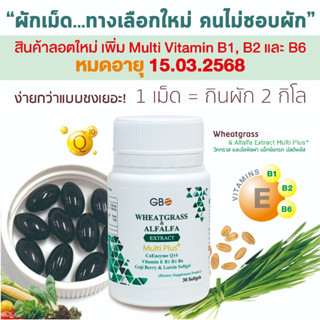 ผักเม็ด Wheatgrass &amp; Alfalfa Extract Multi Plus+ Q10 (ฟรีค่าส่ง)