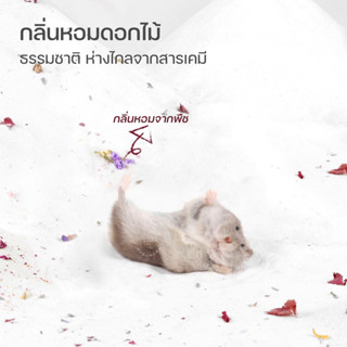 [Bucatstate] ทรายอาบน้ำ ทำความสะอาด หนูแฮมสเตอร์