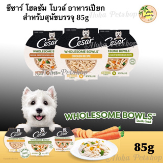 Cesar Wholesome Bowls Dog Pouch 🐶❤️ ซีซาร์ โฮลซัม โบวล์ อาหารเปียกเกรดพรีเมี่ยมสำหรับสุนัขบรรจุ 85g