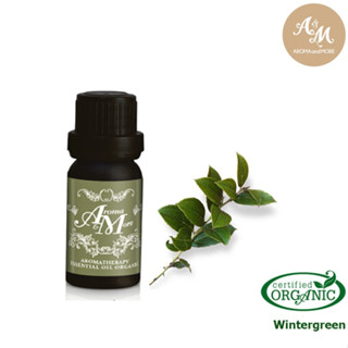 Aroma&amp;More  Wintergreen Essential oil- Organic / น้ำมันหอมระเหยวินเทอร์กรีน 100% Organic -Nepal  5/10/30ML