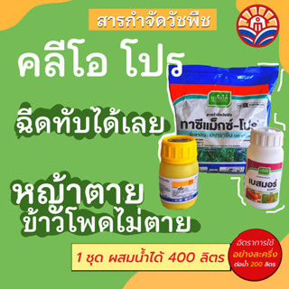 ส่งด่วน! คลีโอ โปร คุมและฆ่าหญ้าในข้าวโพด ฉีดทับข้าวโพดได้ หญ้าตาย ข้าวโพดไม่ตาย