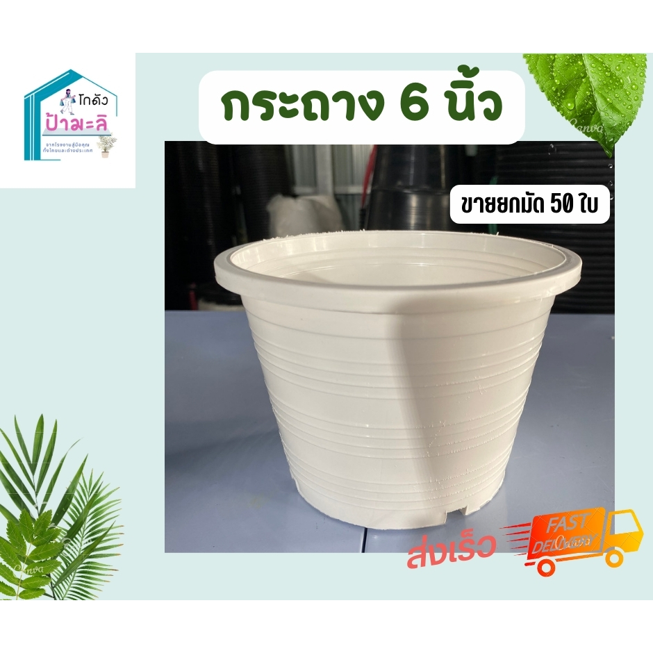 กระถาง 6 นิ้ว สีขาว คุณภาพมาตรฐาน ราคาส่งจากโรงงาน