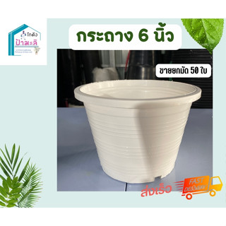 กระถาง6นิ้ว สีขาว ยกมัด50ใบ คุณภาพมาตรฐาน ราคาส่งจากโรงงาน