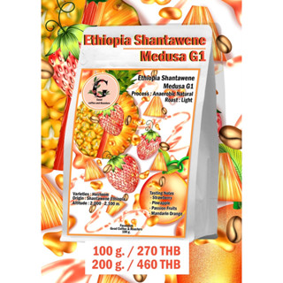 เมล็ดกาแฟสด เอธิโอเปีย Ethiopia Shantawene Medusa G1