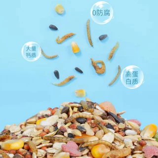 อาหารหนูแฮมสเตอร์ รสทะเลและผักผลไม้ 🐹 Hamster Food สูตรผสม ZC ขนาด 500 g.