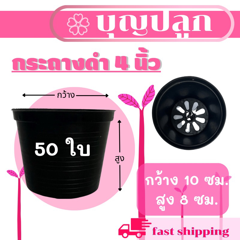 (แพค50ใบ) กระถางพลาสติก สีดำ 4 นิ้ว กระถางแคคตัส