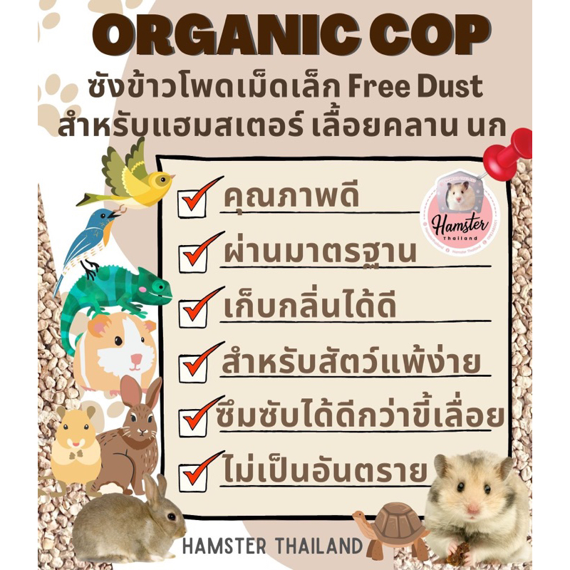 รูปภาพ 2