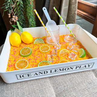 🍋Ice and Lemon Play🍋 กล่องกิจกรรมพร้อมฝาปิด Sensory Play