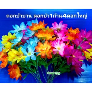 ดอกบัวบาน ดอกบัวบาน5สี ดอกบัว4ดอก ดอกบัวก้าน ดอกบัวสีม่วง ดอกบัวสีส้ม ดอกบัวสีเหลือง ดอกบัวสีชมพู ดอกบัวตกแต่ง พร้อมส่ง