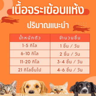 เนื้อจระเข้อบแห้ง 200 กรัม ขนมหมา[ YCrazy Crocodile Meat 200g.]