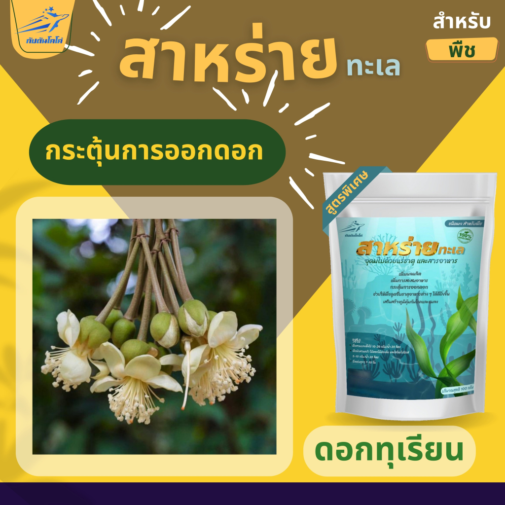 สาหร่าย สำหรับพืช สกัดเข้มข้น 100% ขนาด 500 กรัม - รูปที่ 2