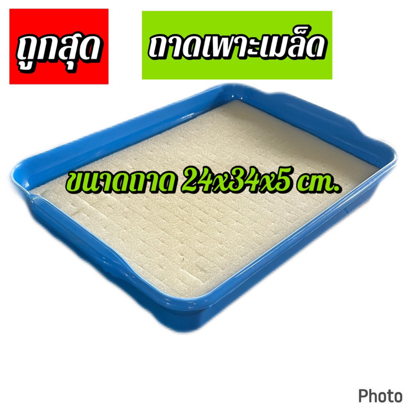 ถาดเพาะต้นกล้า สำหรับใส่ฟองน้ำ ถาดเพาะผักไฮโดรโปนิกส์ ถาดเพาะเมล็ด