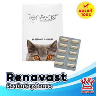 RENAVAST CAT 60 capsule ผลิตภัณฑ์ดูแลไต ป้องกันไต