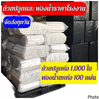 ถ้วยปลูกแพค1,000 ใบ ฟองน้ำแพค 100แผ่น ถาดเพาะเเพค12ใบ ราคาส่ง สินค้าส่งทุกวัน