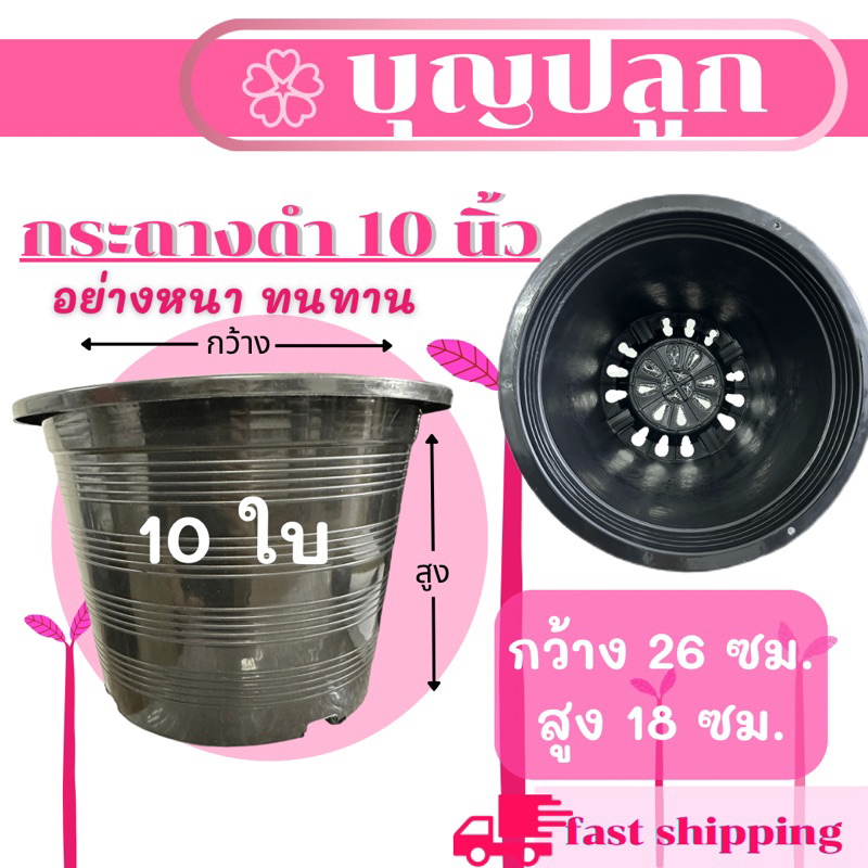 (10 ใบ) กระถางพลาสติก สีดำ 10 นิ้ว ปลูกบอน ปลูกผักสลัด