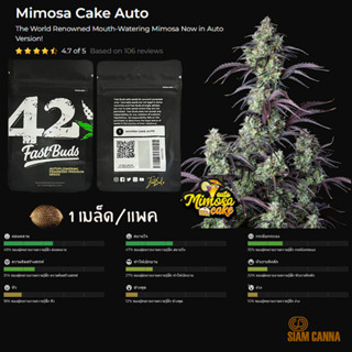 เมล็ดกัญชา Mimosa Cake Auto - Fastbuds Pack : 1 seed พร้อมแพ็คเกจค่าย เมล็ดกัญชาออโต้