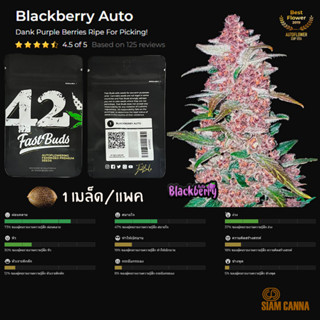 เมล็ดกัญชา Blackberry Auto - Fastbuds Pack : 1 seed พร้อมแพ็คเกจค่าย เมล็ดกัญชาออโต้