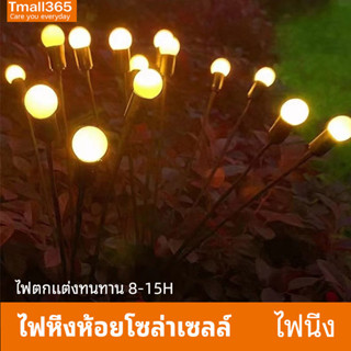 Tmall365 โคมไฟปักสนาม LED ไฟสวนโซล่าเซล 6ดวง 8ดวง 10ดวง ไฟสนามหญ้า led กันน้ํา IP65 กลางแจ้ง รูปหิ่งห้อย ไฟนิ่ง