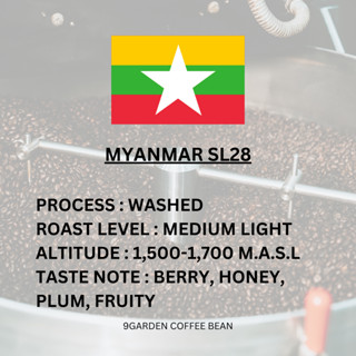 เมล็ดกาแฟคั่ว Myanmar SL28 Washed Process