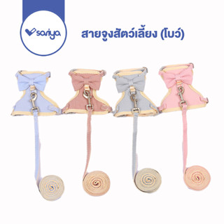 Sariya (AB107)สายจูงรัดอกชุดรูปโบว์ สายจูงสัตว์เลี้ยง สายจูงแมว Cat Harness