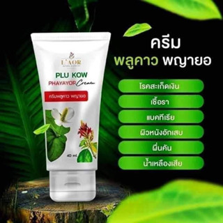 ครีมพลูคาว พญายอ Plu Kow Phayayor Cream สมุนไพรแก้ กลาก เกลื้อน สะเก็ดเงินของแท้