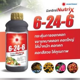 ปุ๋ยน้ำ นิวทริกซ์ สูตร 6-24-6 ตราดวงตะวันเพชร กระตุ้นและส่งเสริมการออกดอก ช่วยบำรุงดอก (ขนาด 1 ลิตร)