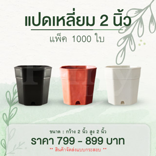 กระสอบ 1000 ใบ กระถางแปดเหลี่ยม 2 นิ้ว สีดำ สีขาว สีอิฐ