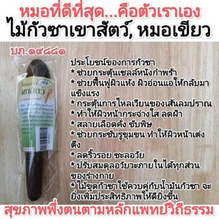 ไม้กัวซาทรงเขาสัตว์ ลดอาการปวดกล้ามเนื้อและระบายพิษในร่างกาย