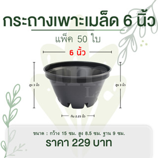 กระถางเพาะเมล็ด กระถาง 6 นิ้ว กระถางทรงเตี้ย กระถางกระบองเพชร ทรงชาม แพ็ค 50 ใบ