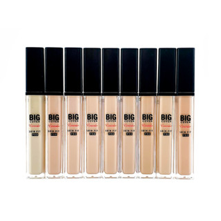 Etude House Big Cover Skin Fit Concealer Pro