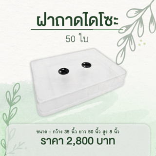 1 ลัง ฝาครอบถาดไดโซะ ยกลัง ใช้กับถาดใหญ่มาตราฐาน