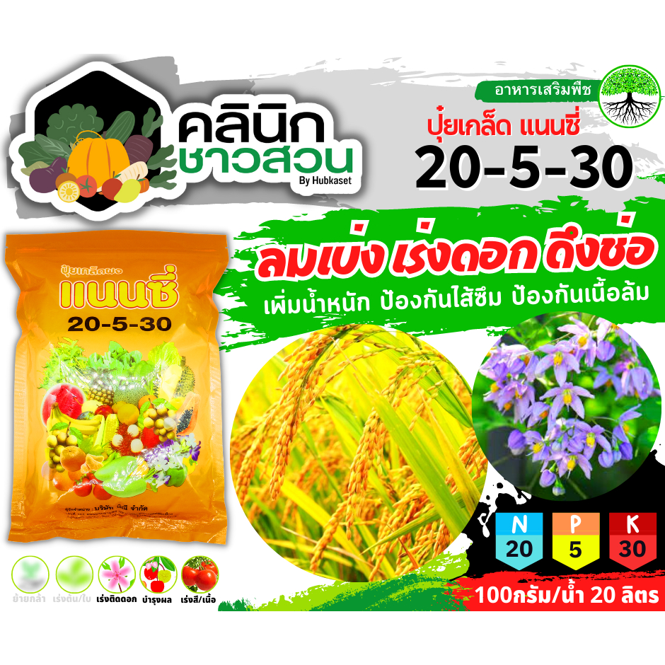 แนนซี่ 20-5-30 (ปุ๋ยเกล็ดผง) บรรจุ 1กิโลกรัม เพิ่มปริมาณแป้ง เพิ่มความหวาน เพิ่มขนาดและสีสัน