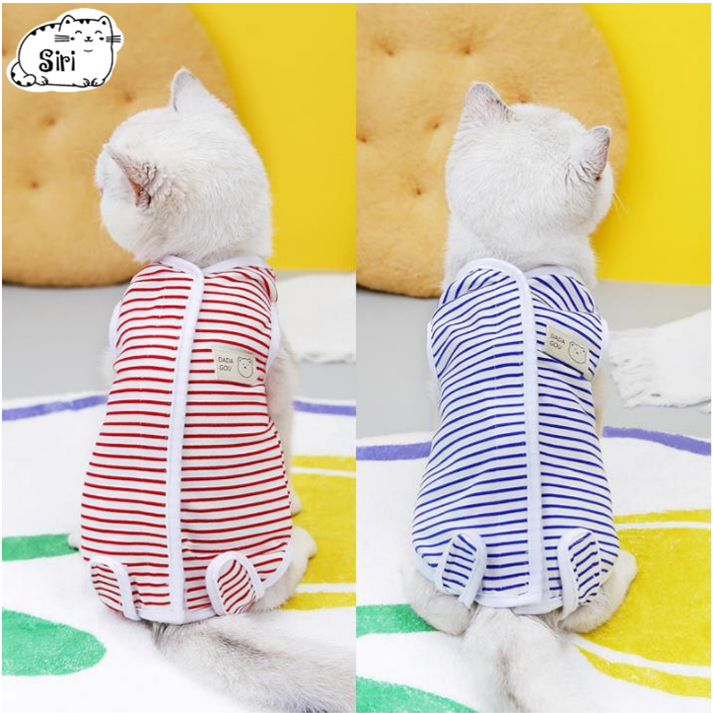 พร้อมส่ง ชุดกันเลีย ป้องกันเลียแผลหลังผ่าตัด ชุดกันเลียสัตว์เลี้ยง