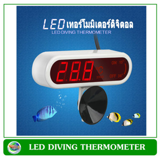 วัดอุณภูมิ เทอร์มิเตอร์ วัดอุณหภูมิน้ำ Digital Thermomiter AT-10