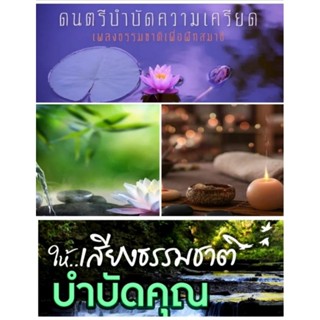 MP3 USB  รวมเสียงโมสาร์ท  เสียงธรรมชาติ เสียงเปียโน บำบัดความเครียด หลับสบาย สำหรับเครื่องเล่นที่มีช่องเสียบ USb