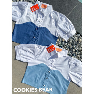 เสื้อเชิ้ตคอปก cookies bear