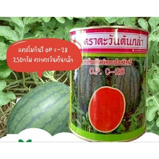เมล็ดแตงโม กินรี ตราตะวันต้นกล้า ขนาด 250 กรัม หวาน