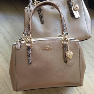 MINI CHRISTIE CARRYALL IN METALLIC LEATHER WITH EXOTIC TRIM (COACH F55515)