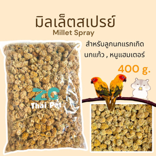 มิลเล็ตสเปรย์ สีเหลือง(พวงจิ๋ว) // Millet Spray ขนาด 400 g. (สำหรับลูกนก,นกแก้ว,แฮมเตอร์)