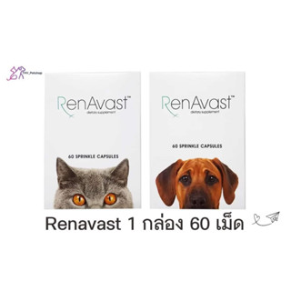 Renavast Dog&amp;Cat อาหารเสริมบำรุงไต สำหรับ สุนัขและแมว 1 กล่องบรรจุ 60 แคปซูล