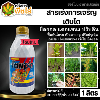 🌽 โตแซด (ธาตุอาหารรอง-เสริม) 1ลิตร ยอดเขียว อวบใหญ่ ฟื้นต้นโทรม