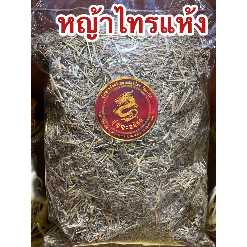 หญ้าไทร หญ้าไทรแห้ง หญ้าไซ หญ้าไซแห้ง หญ้าแซมไซ หญ้าไทร