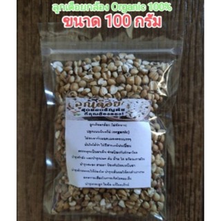 ลูกเดือยกล้อง Organic 100% ไม่ขัดขาว ไม่ฉีดยา ขนาดทดลอง 100กรัม