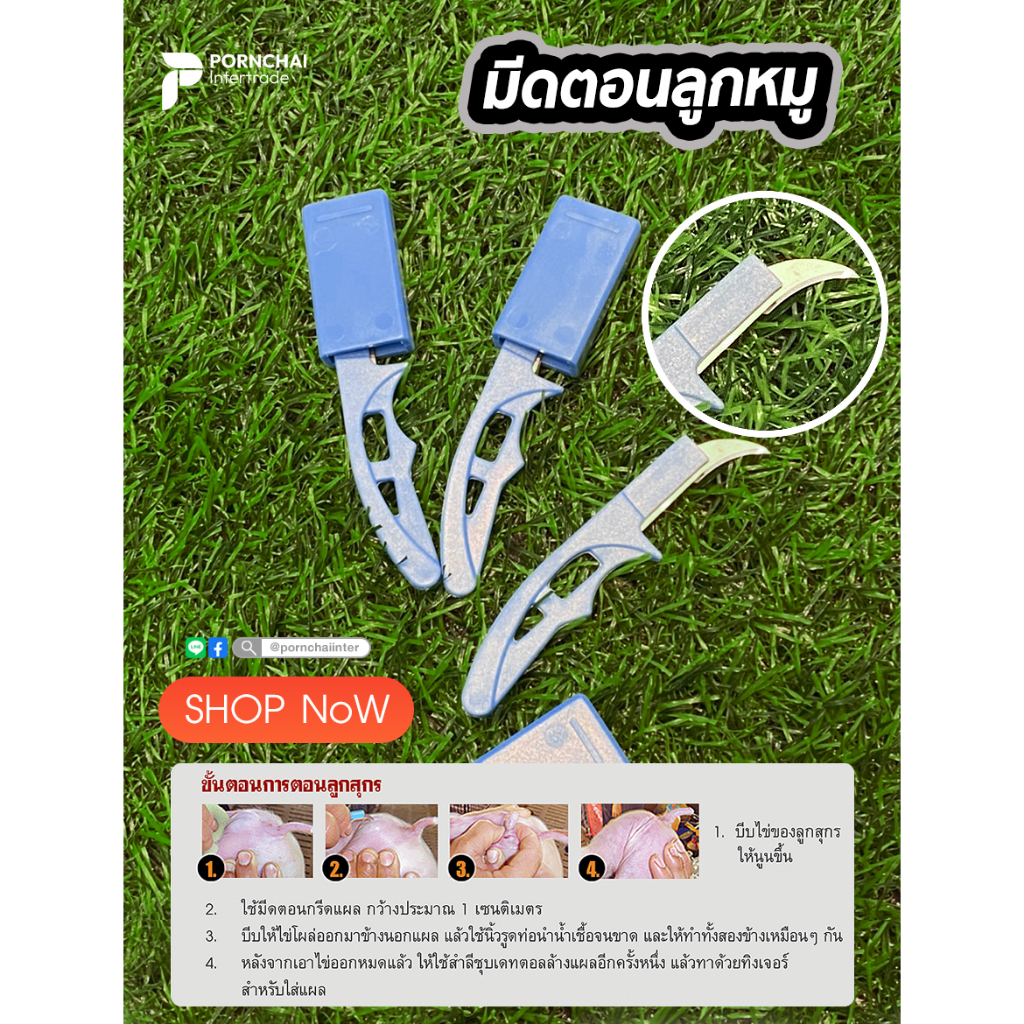มีดตอนลูกสุกร มีดตอนลูกหมู Mini Scalpels (จำนวน 1 ชิ้น)