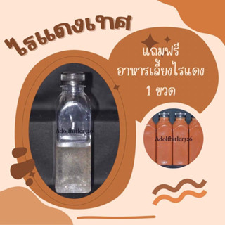 (1ขวด250ml)อาหารปลาไรแดงเทศ(สำหรับเพาะขยายพันธ์ุ)