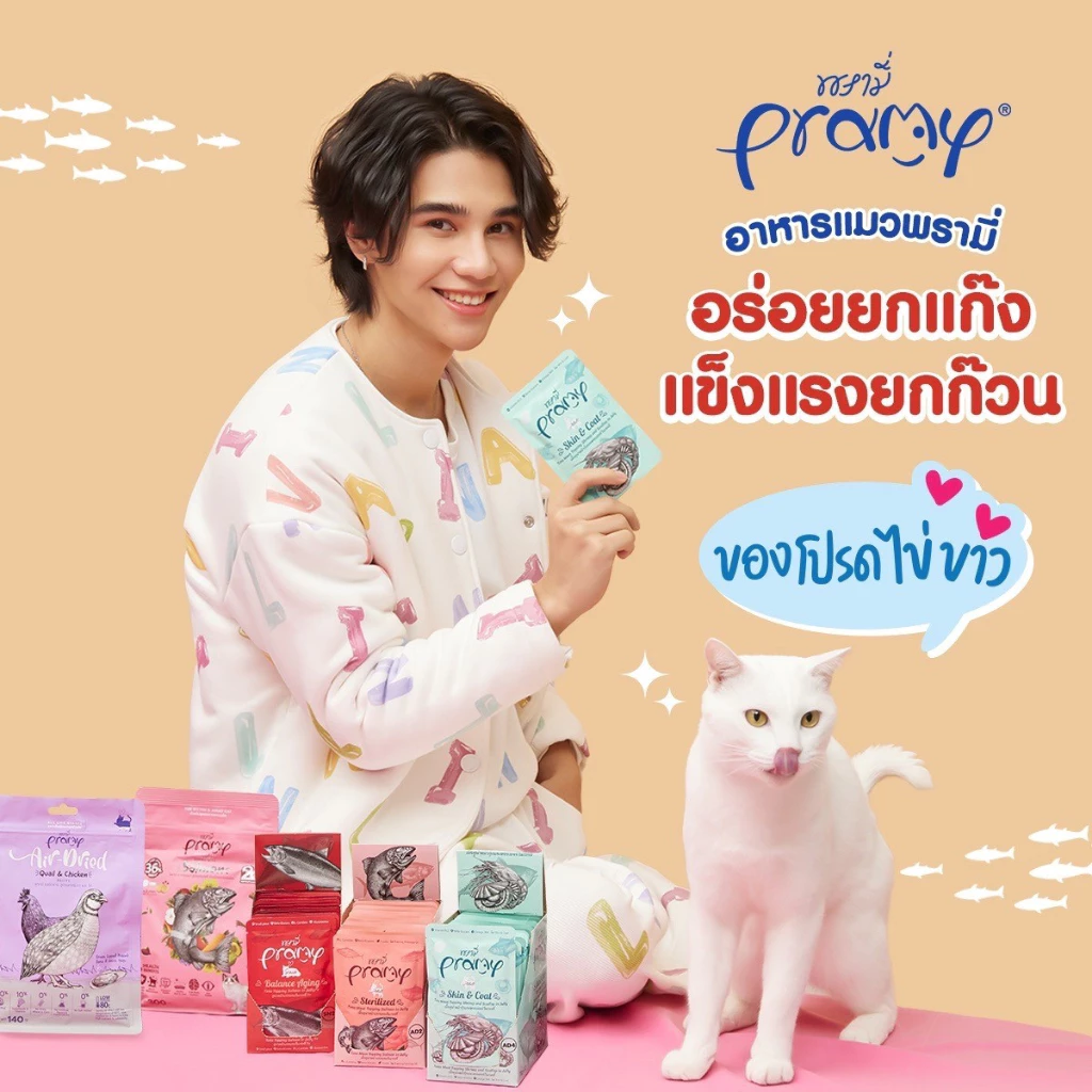 Pramy อาหารเปียกแมว 1ซอง ลูกแมว แมวโต แมวสูงวัย thumbnail 6