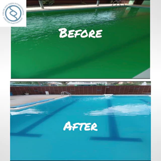 น้ำยาป้องกัน และกำจัดตะไคร่น้ำ ชนิดเข้มข้น (Pool Blink Algaecide Kill Plus+)