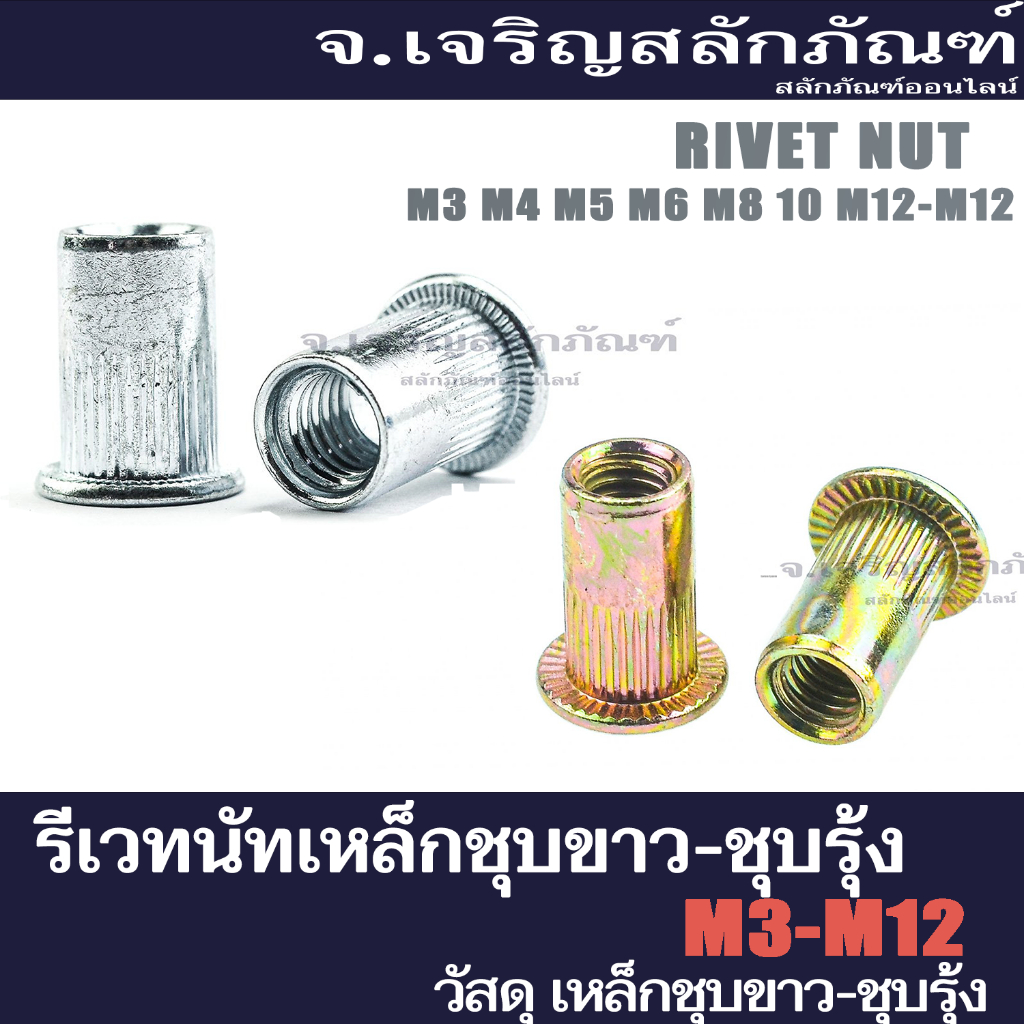 รีเวทนัท M3 M4 M5 M6 M8 M10 M12 รีเวทนัทเหล็กชุบ ชุบขาว-ชุบรุ้ง ราคาส่ง รีเวทเกลียวใน (Flat Head Insert Nut Rivet)